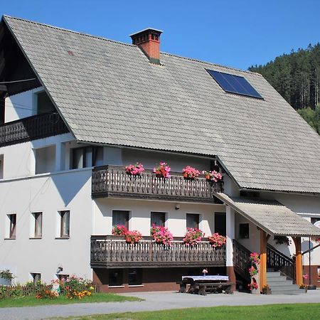 Apartments Peternelj Davča Buitenkant foto