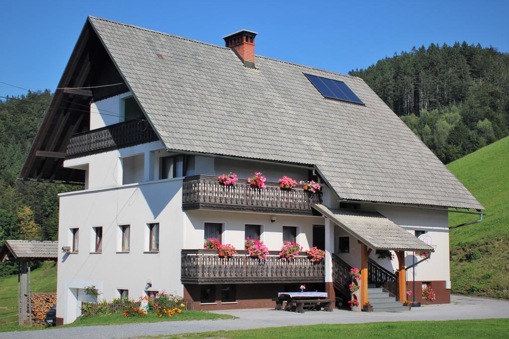 Apartments Peternelj Davča Buitenkant foto
