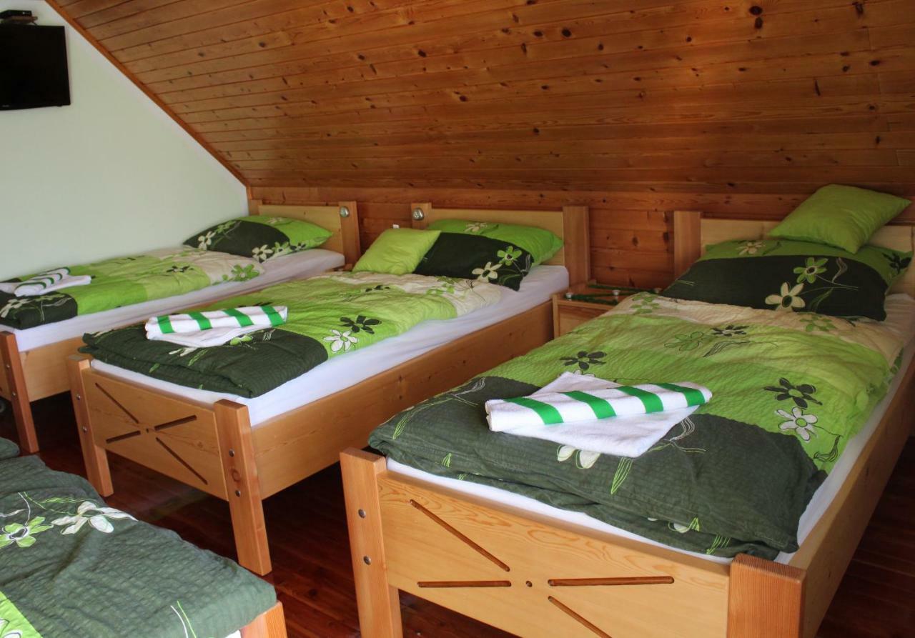 Apartments Peternelj Davča Kamer foto